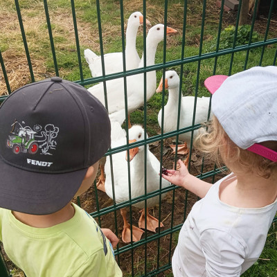 Tiergestützte Pädagogik Tiergestützte Pädagogik